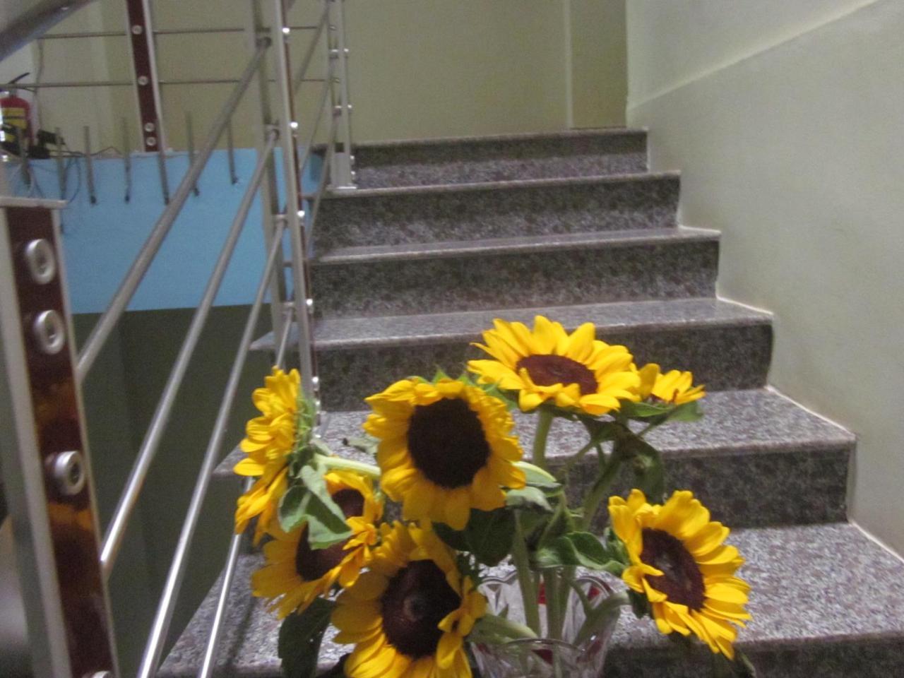 Thien Phu Hostel Phong Nha Bagian luar foto